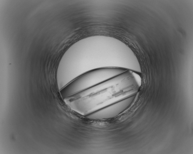 X0000115820332200911131112