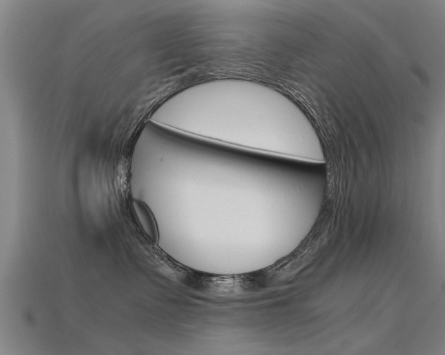 X0000115820335200911131112