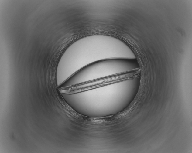 X0000115820336200911131112