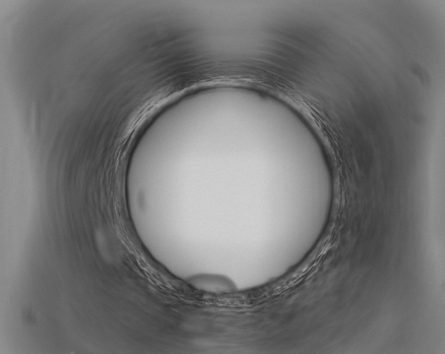 X0000115820337200911131111