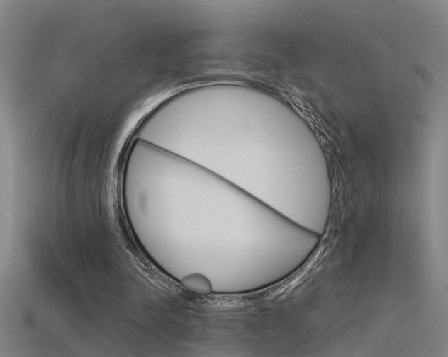 X0000115820342200911131111