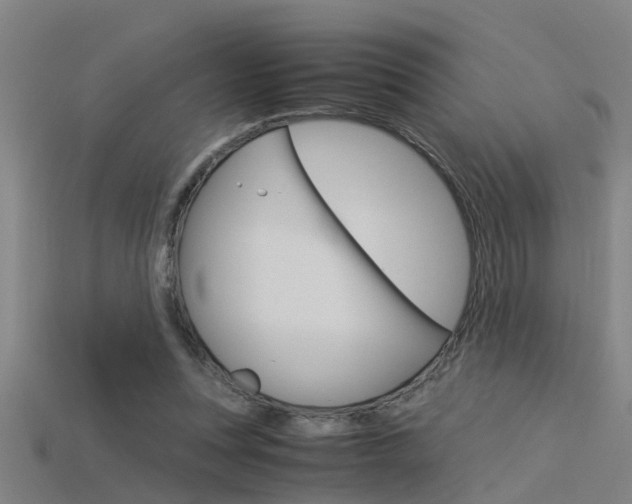 X0000115820351200911131111