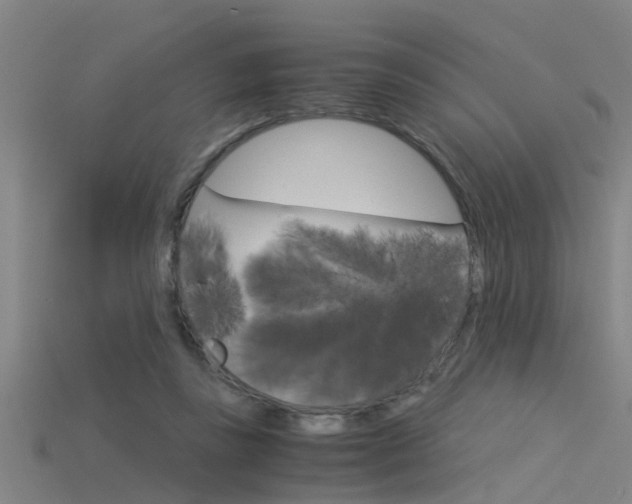 X0000115820355200911131111