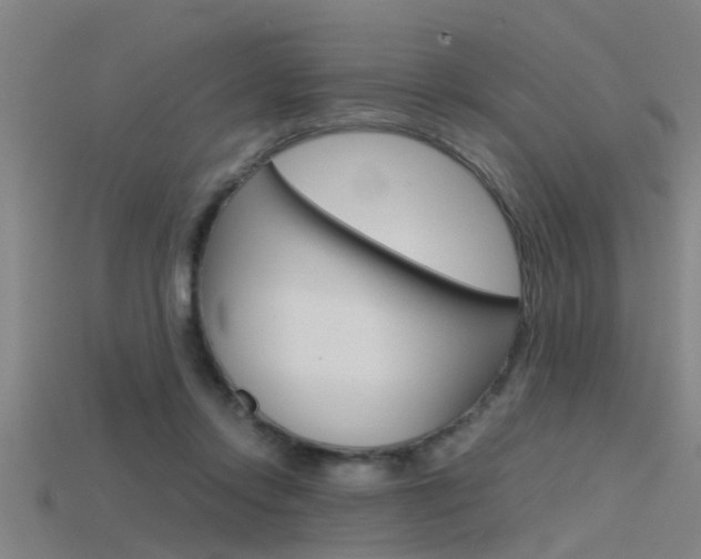 X0000115820358200911131111