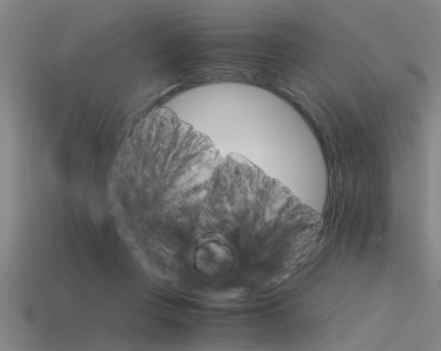 X0000115820359200911131111