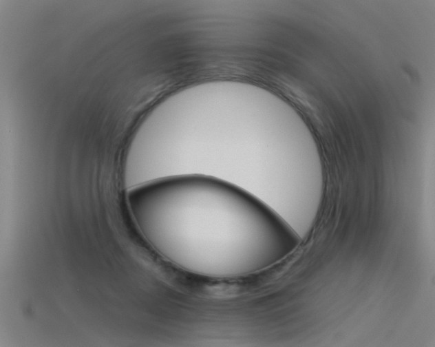 X0000115820362200911131111