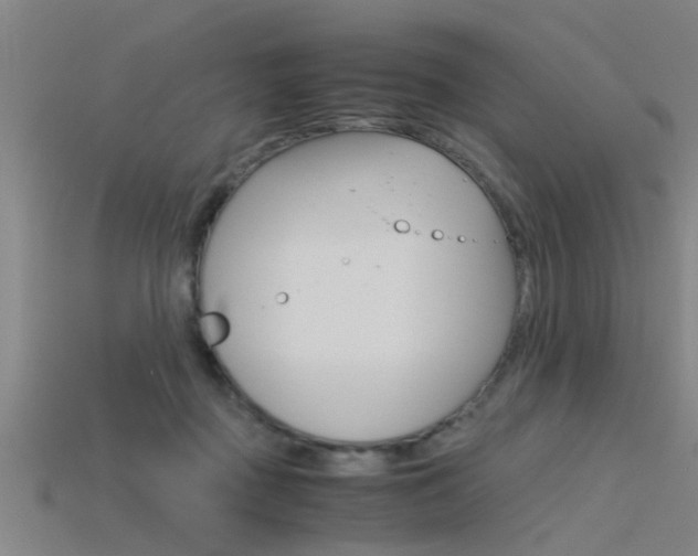 X0000115820363200911131111