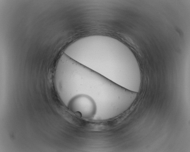 X0000115820366200911131111