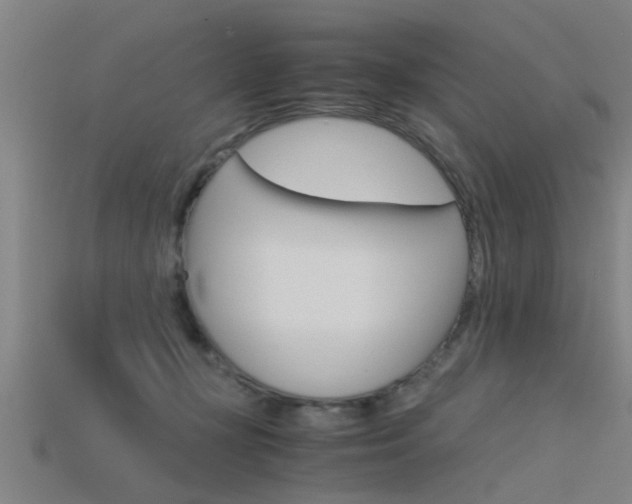 X0000115820367200911131111