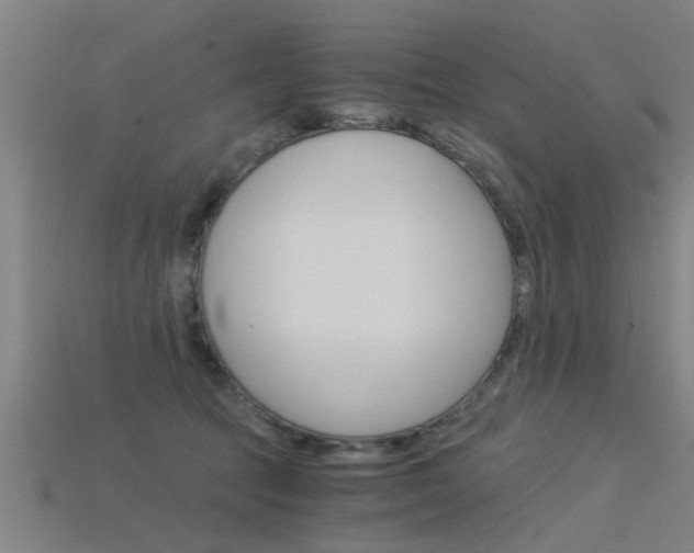 X0000115820369200911131111
