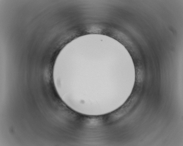 X0000115820370200911131111