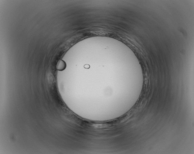 X0000115820371200911131111