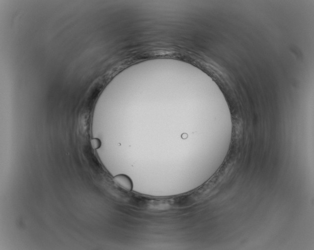 X0000115820373200911131111