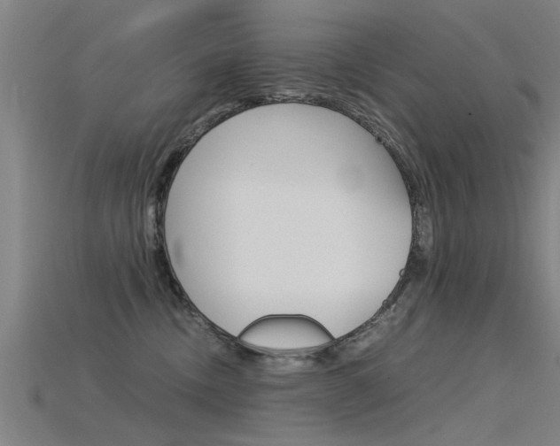 X0000115820378200911131111