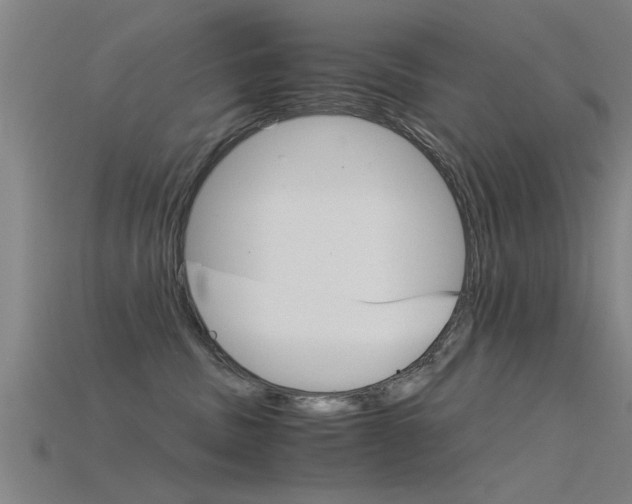 X0000115820379200911131111