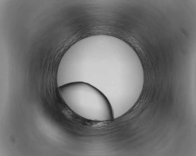 X0000115820382200911131111