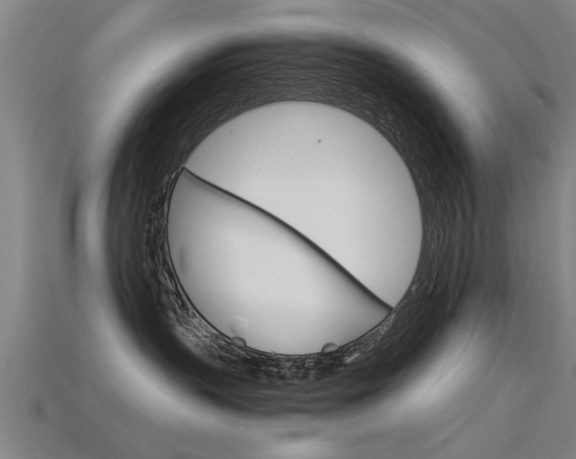 X0000115820383200911131112