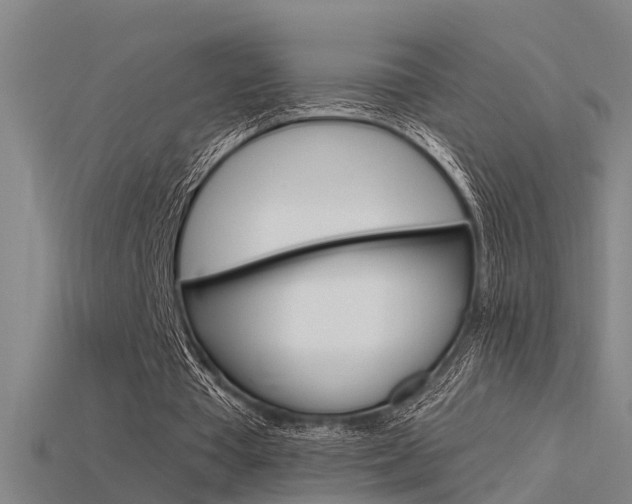 X0000115820385200911131111