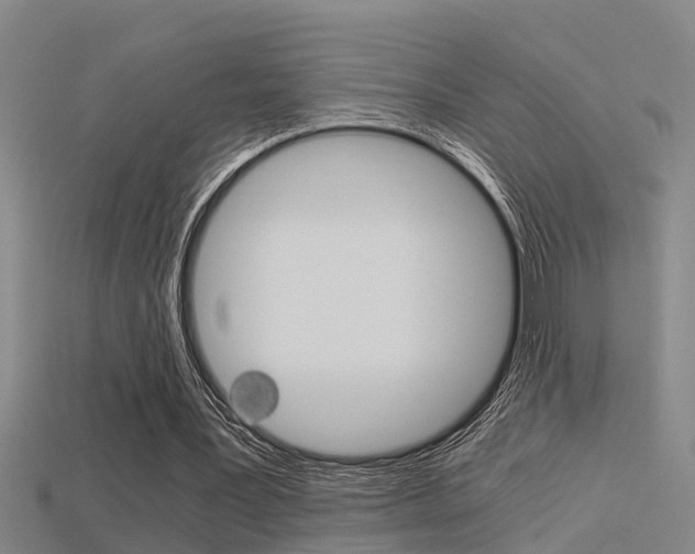X0000115820387200911131111
