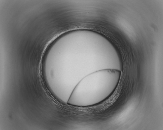 X0000115820388200911131111