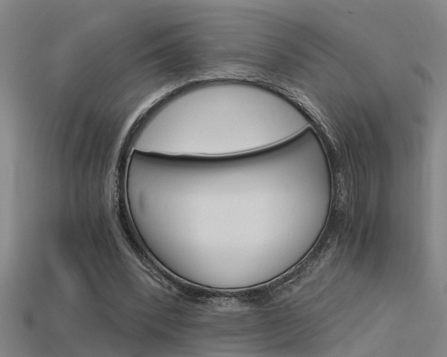 X0000115820392200911131111