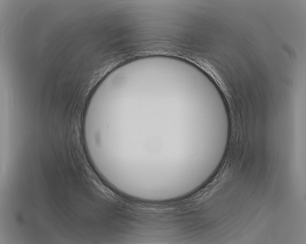 X0000115820393200911131111