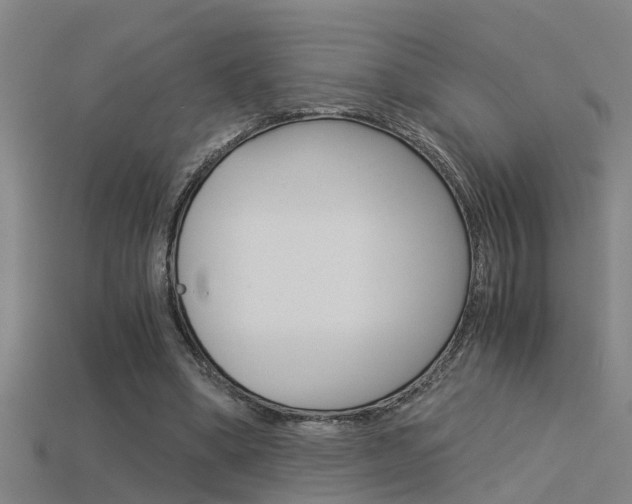 X0000115820394200911131111
