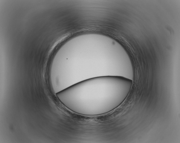 X0000115820396200911131111