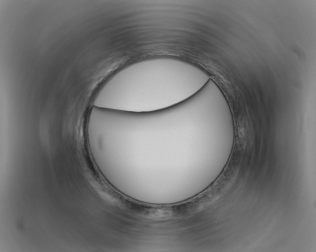 X0000115820398200911131111
