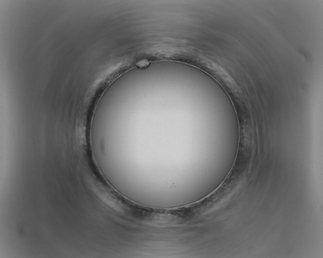 X0000115820399200911131111