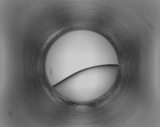 X0000115820400200911131111