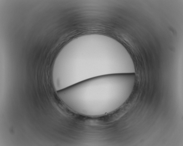 X0000115820408200911131110