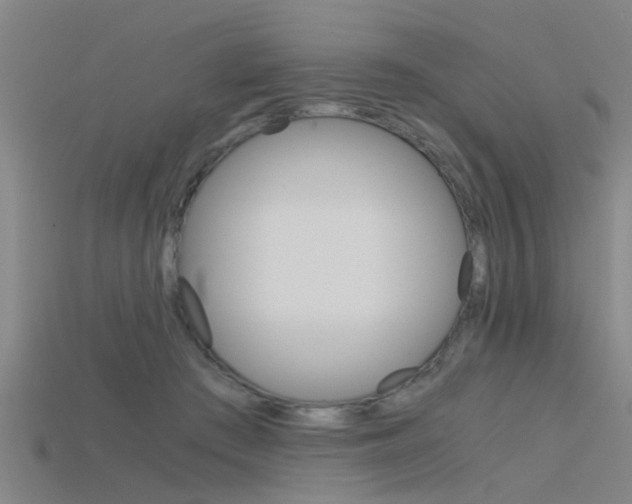 X0000115820409200911131110