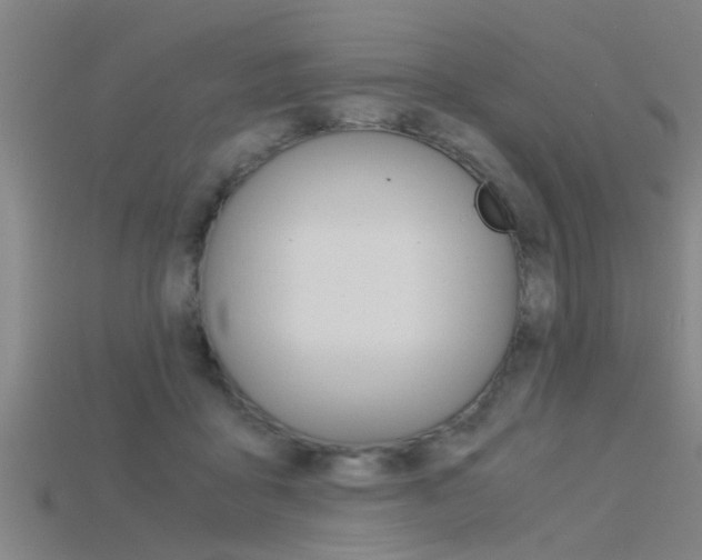 X0000115820411200911131110