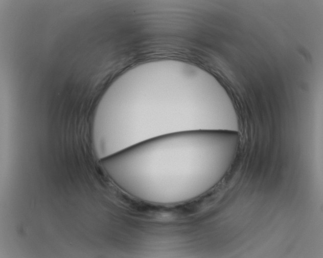 X0000115820412200911131110