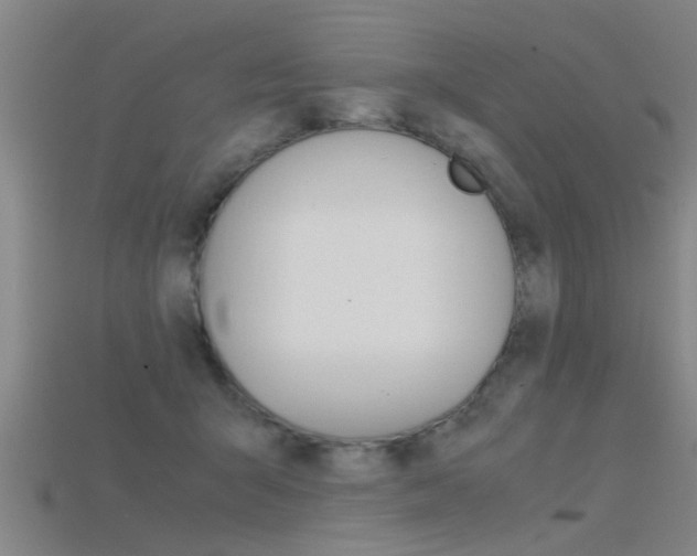 X0000115820415200911131110