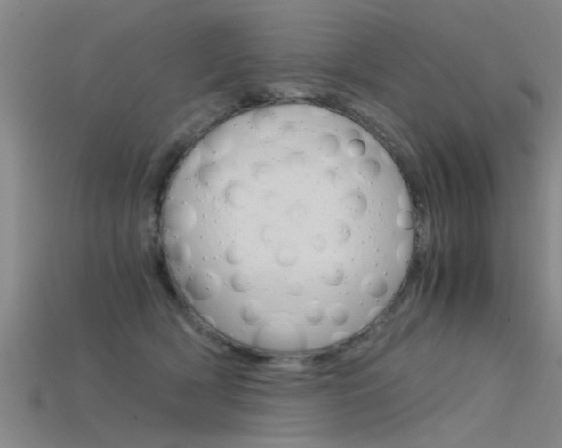 X0000115820418200911131110