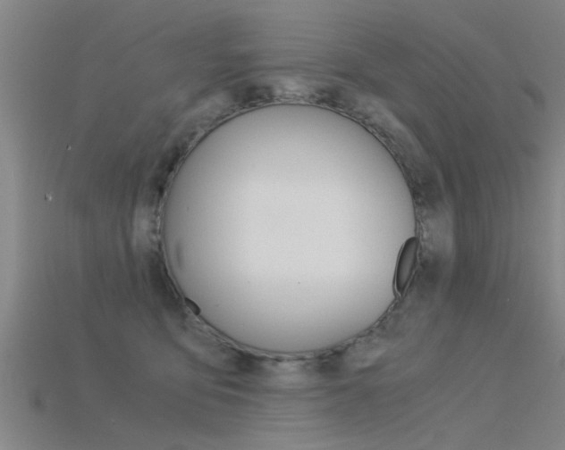 X0000115820419200911131110