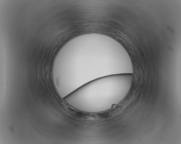 X0000115820420200911131110