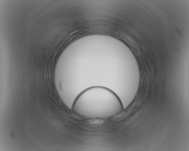 X0000115820421200911131110