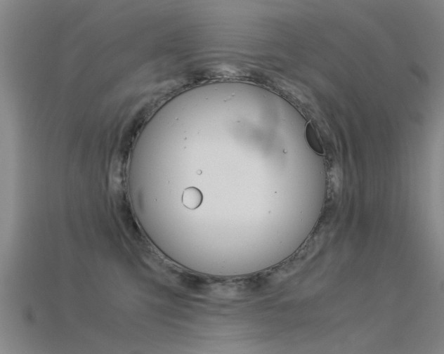 X0000115820423200911131110