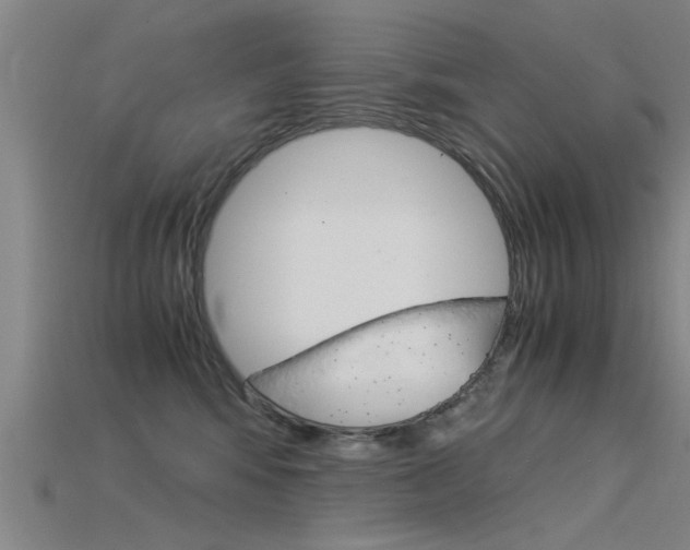X0000115820424200911131110