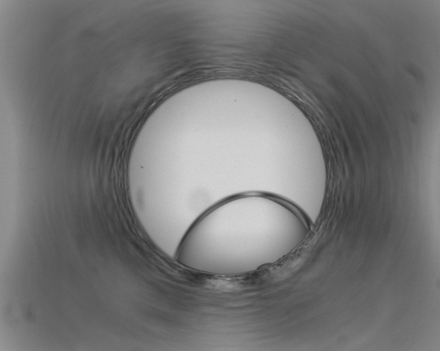 X0000115820425200911131110