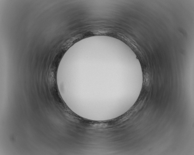 X0000115820426200911131110