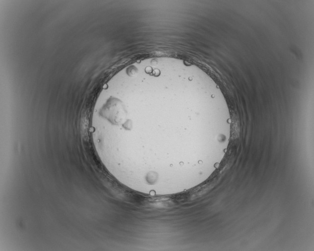 X0000115820427200911131110