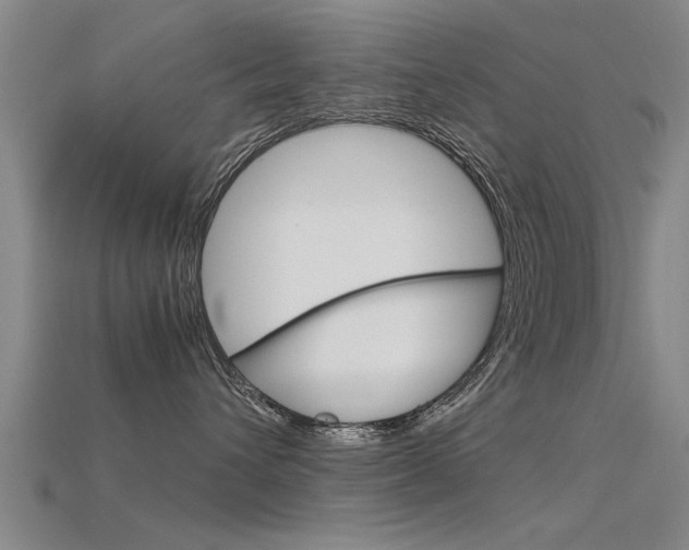 X0000115820432200911131110