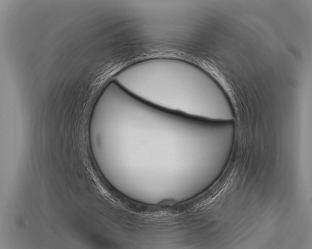 X0000115820433200911131109