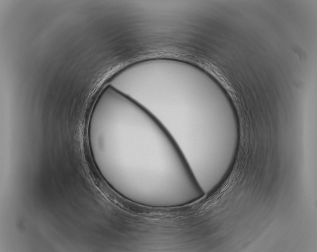 X0000115820434200911131109