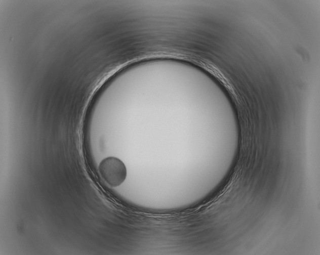 X0000115820436200911131109