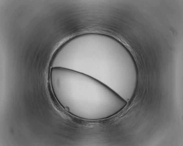 X0000115820438200911131109